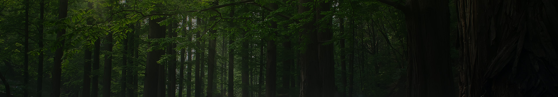 page_banner